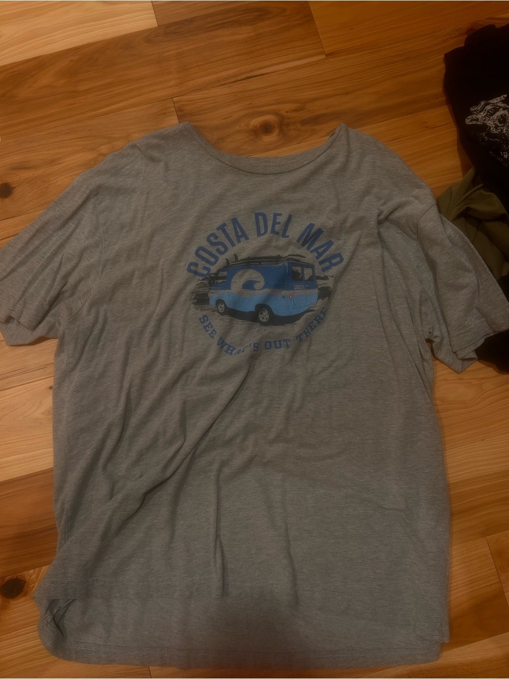 Costa Gray Tee with Blue Surf Van Graphic